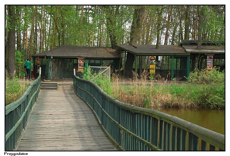 Przygodzice Zajazd Górecznik pomost do chatki Babci Czerwonego