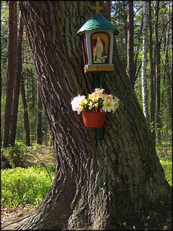 kapliczka na drzewie