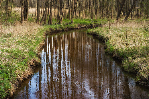 Wigierski Park Narodowy