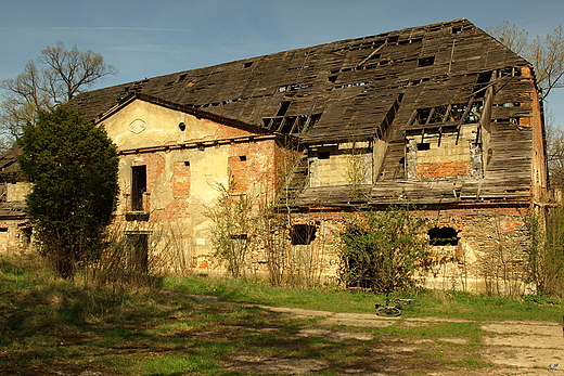 Ruiny paacu w Piorunkowicach
