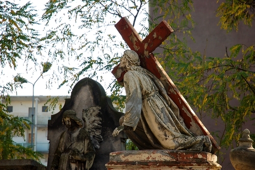 Cmentarz Miejski Katolicki - zabytkowe nagrobki