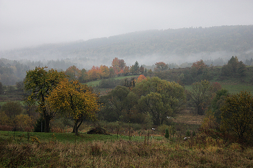 Jesienny pejza. Ustjanowa