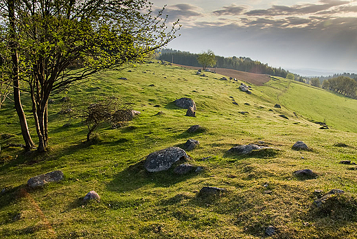 Suwalski Park Krajobrazowy