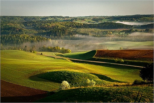 Suwalski Park Krajobrazowy - widok ze zbocza Cisowej Gry.