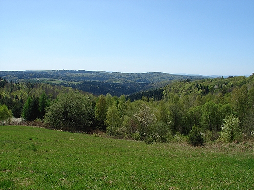 Widok z zielonego szlaku w pobliu Jamnej