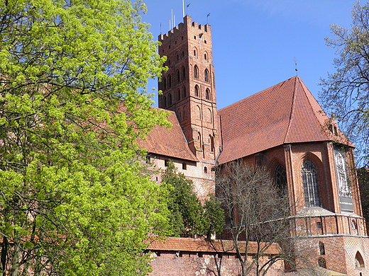 zamek malbork