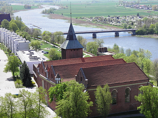 zamek malbork