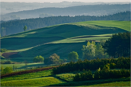 Suwalski Park Krajobrazowy - widok ze zbocza Cisowej Gry.