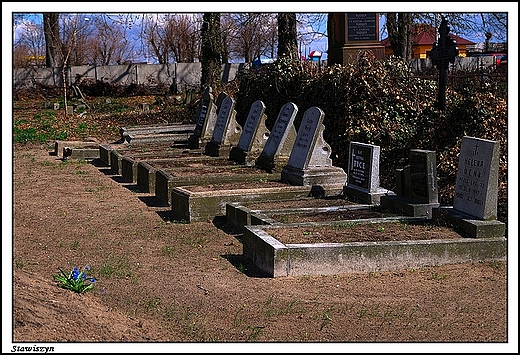 Stawiszyn - popadajcy w ruin cmentarz ewangelicki