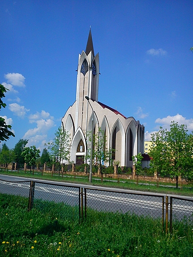 Koci na osiedlu Soneczne Wzgrze w Kielcach