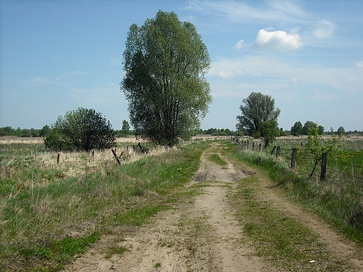 Janwek Pierwszy. Droga wrd k nad Narwi.