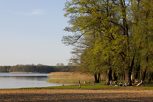 Wolsztyn - odpoczynek nad Jeziorem Wolsztyskim