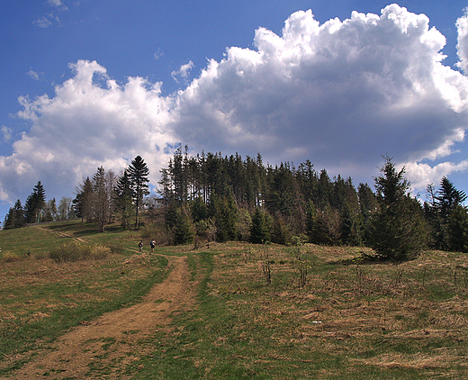 Beskid ywiecki. Rachowiec 954 mpm.