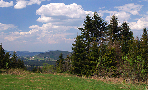 Widok na Beskid lski spod Maego Rachowca.