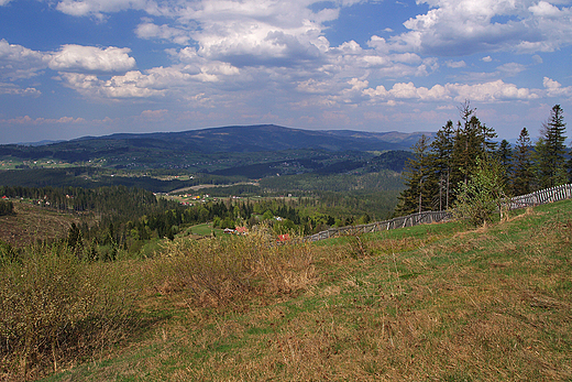 Beskid lski. Barania Gra 1220m npm.