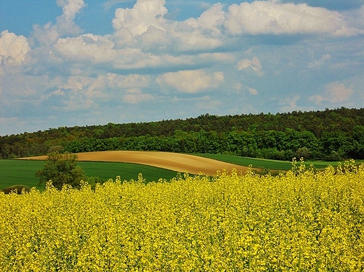 Moje klimaty