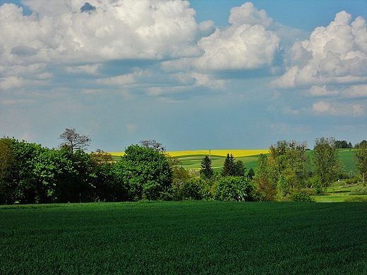 Moje klimaty