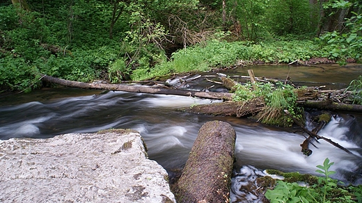 Czrtowe Pole