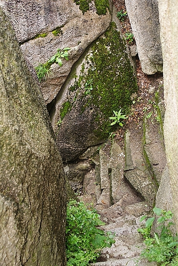 Ruiny zamku Bolczw