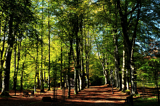 Park Wejherowo