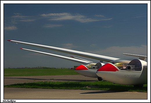 Michakw - PZL SZD-51 Junior na stojankach