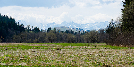 Tatry widziane z nad Biaki