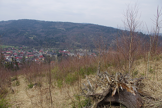 pniakokorze na ciece