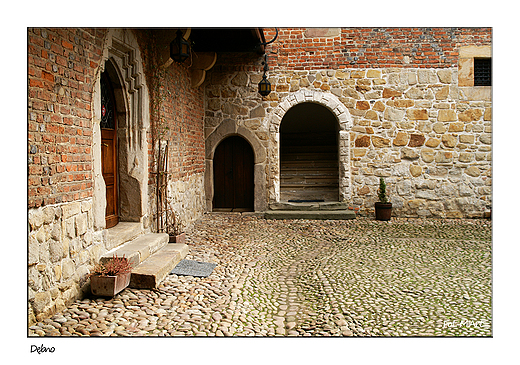 Dbno - zamek w Dbnie z XV w.: dziedziniec