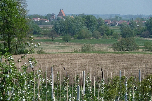 Widok Wilicy z przeciwnego brzegu rzeki