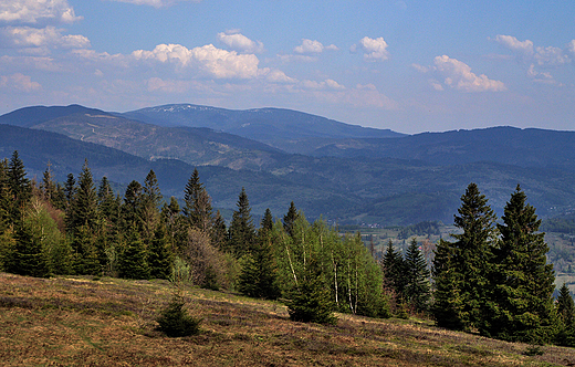 Beskid ywiecki widziany ze szlaku Rachowiec-Sl.