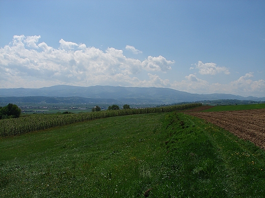 Widok na Przehyb z Brzeznej