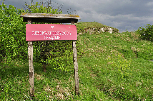 Rezerwaty Ponidzia - rezerwat Przlin