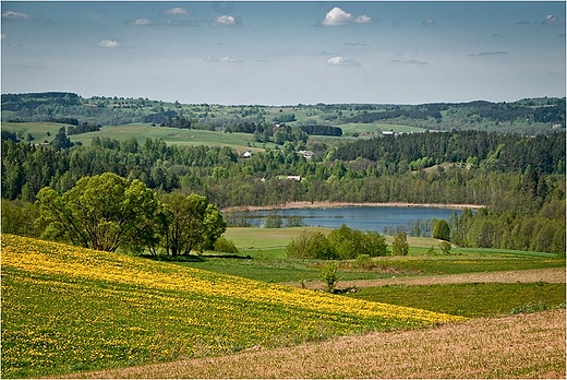 Suwalski Park Krajobrazowy - Jezioro Gulbin.