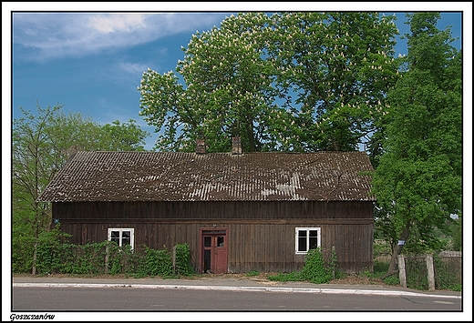 Goszczanw - typowy obrazek starej Polskiej wsi