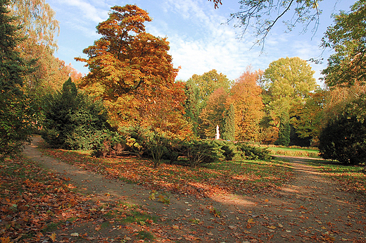 Kalisz - Park Miejski w kolorze brz