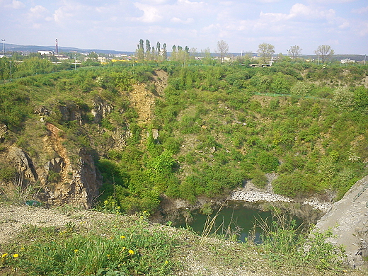 Rezerwat Przyrody na lichowicach-Kielce