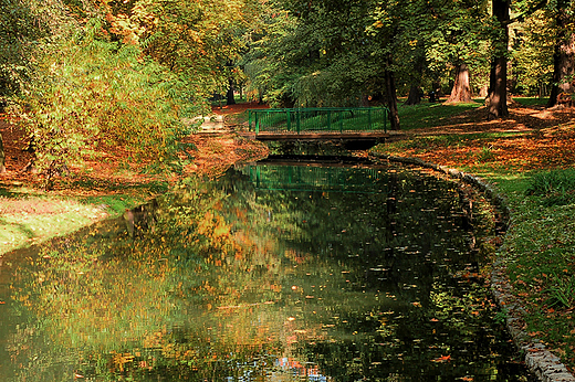 Kalisz - Park Miejski w penej jesieni