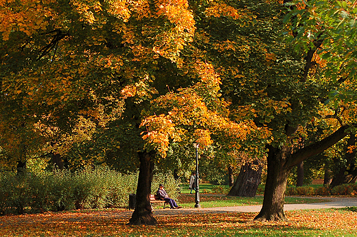 Park Miejski w Kaliszu - sentymentalnie