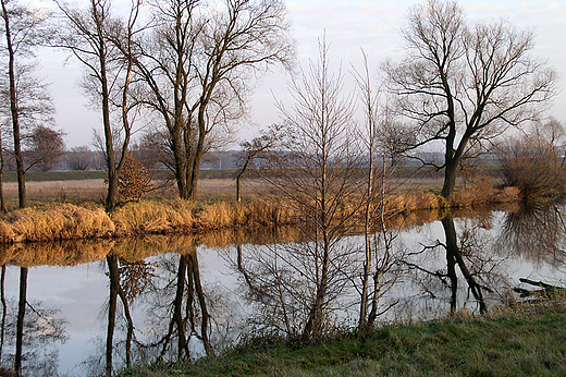 Kalisz - jesienne klimaty nad Prosn