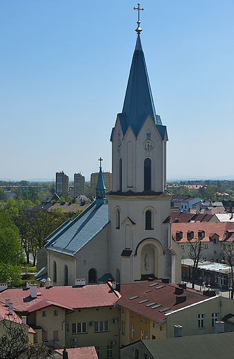 Owicim. Widok na miasto i koci WNMP  z wiey zamkowej.