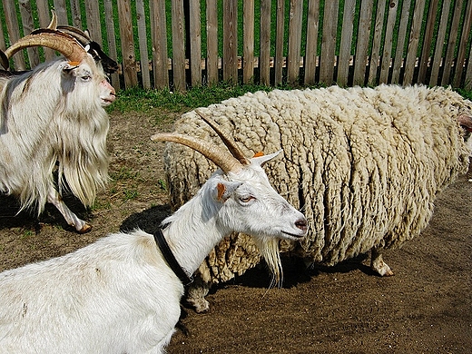 Tokarnia-skansen