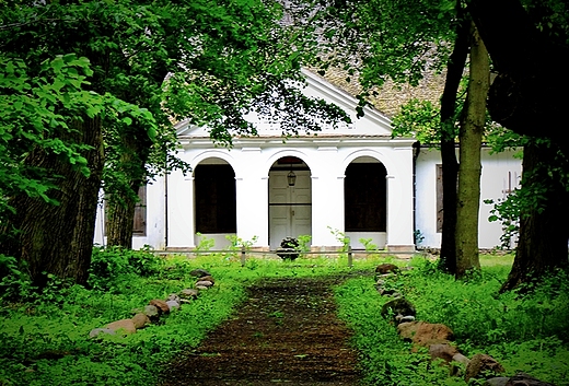 Skansen w Suchej k. Grbkowa