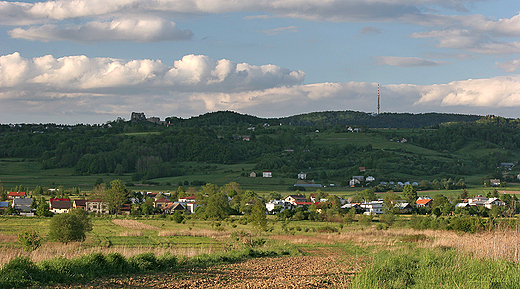 w tle zamek odrzykoski