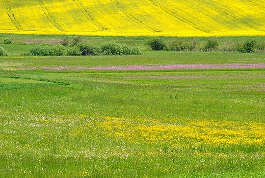 Krajowe widoki.