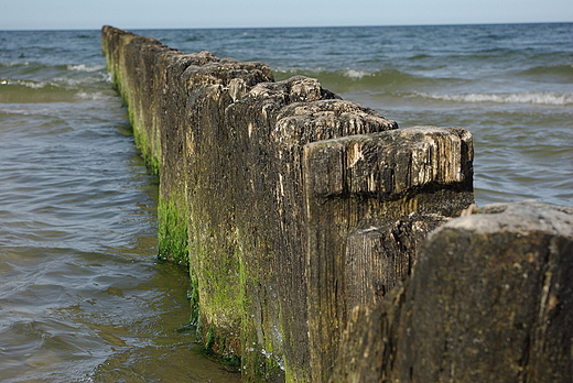 Stranicy Plwyspu Helskiego. Chaupy