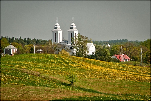 Wie Kaletnik - gmina Szypliszki.