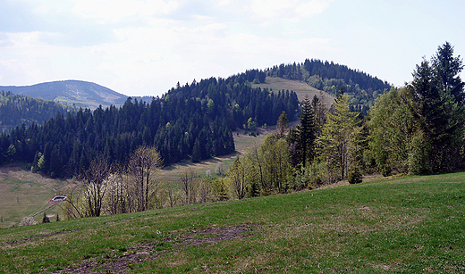 Beskid ywiecki. W drodze na Wielk Racz. Skalanka 867mnpm.