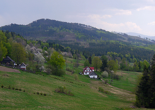 Beskid ywiecki. W drodze na Wielk Racz. Widok z Beskidu Granicznego 875 mnpm.