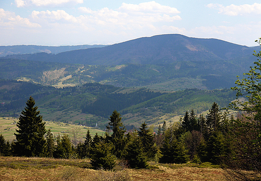 Beskid ywiecki w okolicy Rycerki Dolnej.