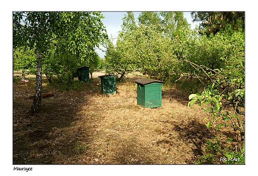 Maurzyce - skansen wsi owickiej